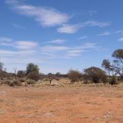 Slide image thumbnail