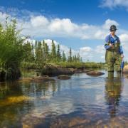 Slide image thumbnail