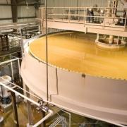 Slide image thumbnail