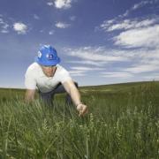 Slide image thumbnail