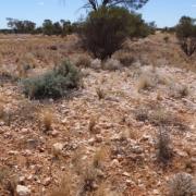 Slide image thumbnail