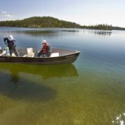 Slide image thumbnail