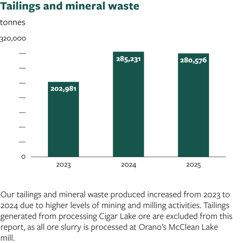 Tailings and mineral waste 2025